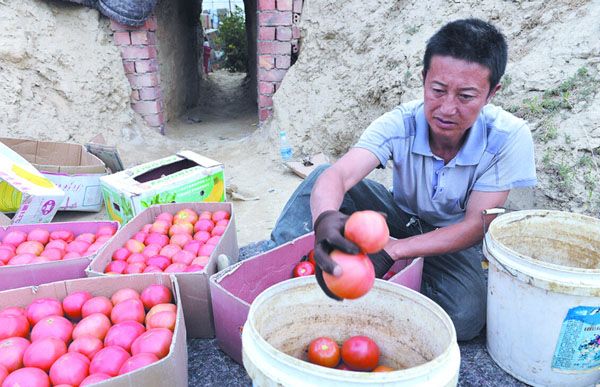 三亚将建千亩上海外延蔬菜基地