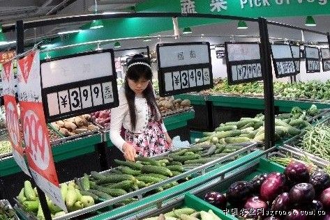 中华神剑韭菜种植技术