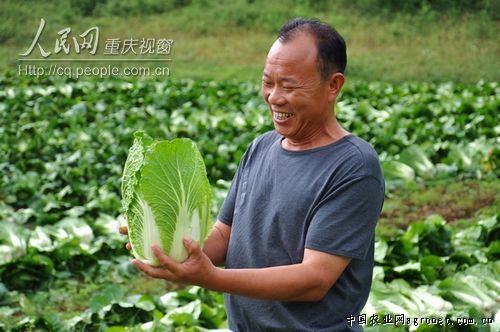 湖南郴州农民开蔬菜自助售卖店