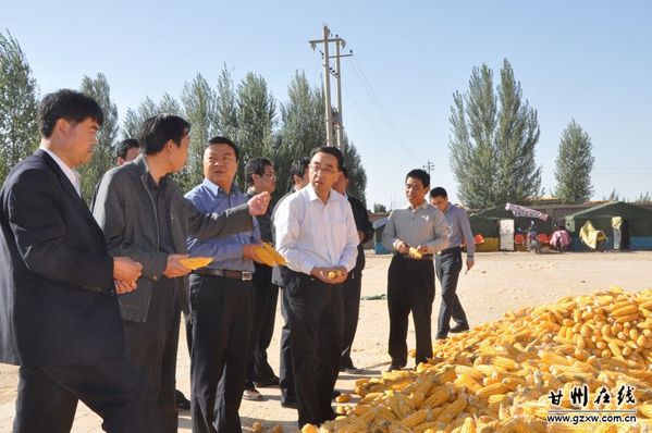 桂垦09—26木薯批发市场