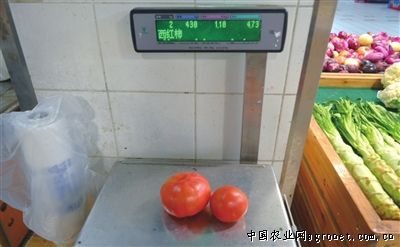济薯25地瓜品种介绍