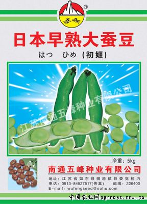 广昌3号茶树菇贮藏方法