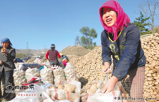 山西省马铃薯生产暨脱毒种薯繁育现场会在蒲县召开