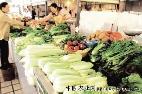 河北省玉米价格最新行情
