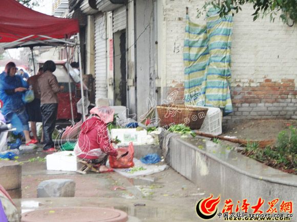华南地区运输充气袋厂
