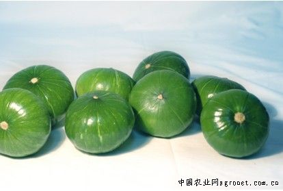 荔浦香芋种子价格