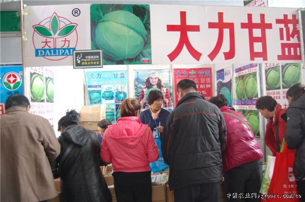 太空育种对中国的重大意义：蔬菜增产抗病味道好
