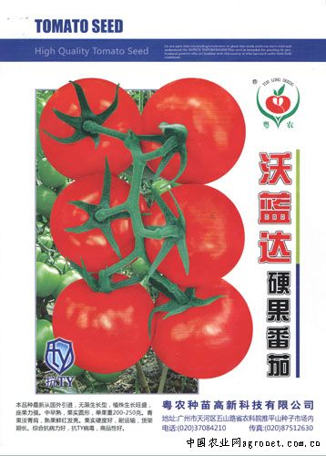 西红柿的病虫害防治