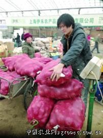 中国马铃薯产地