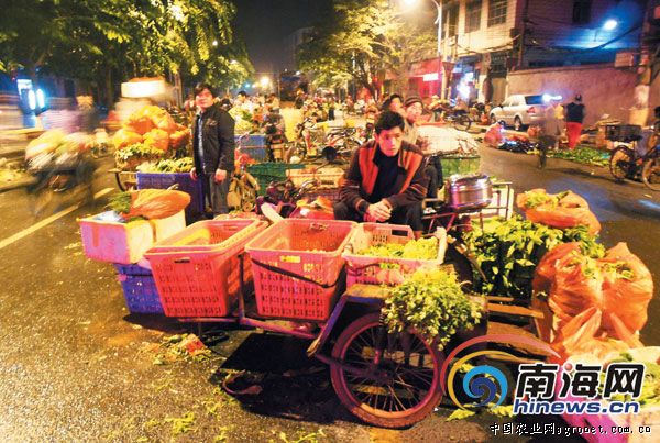 重庆长寿洪湖生态蔬菜走俏高端市场