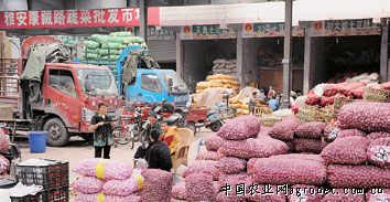 香椿芽市场前景