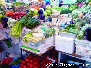 江西永丰壮大蔬菜产业（图）