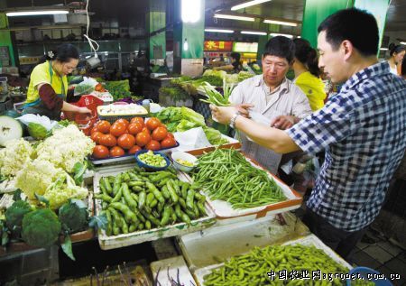 韩国白萝卜市场价格