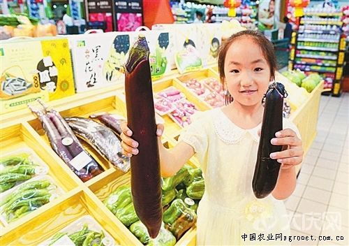 大理出口韩国的“龙爪菜”带富永平农民