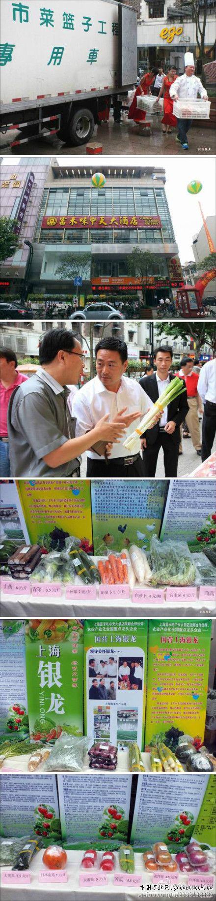 耐寒抗冻的阿波罗绿生菜首次“落户”北京