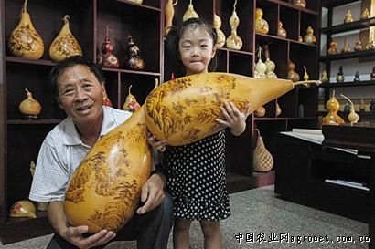 白姜种多少钱一斤