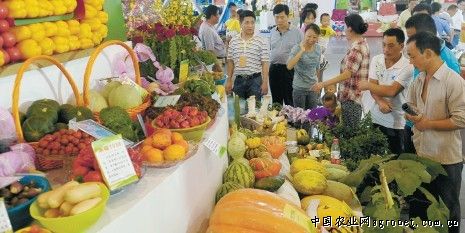 商务部：蔬菜批发价格连涨10周
