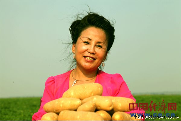 华南205木薯管理技巧