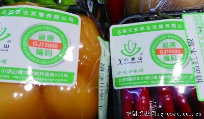 三红蜜柚种植管理技术