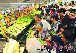 杭州白根韭菜种子