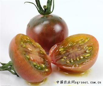 西红柿市场分析