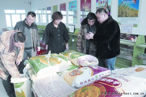 北京系列红薯加工技术