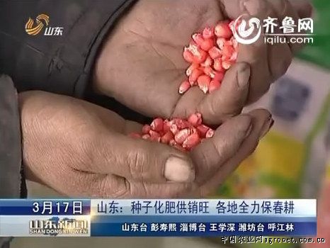 红花莲藕种植技术