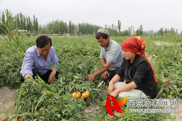 中国最大的竹笋产地