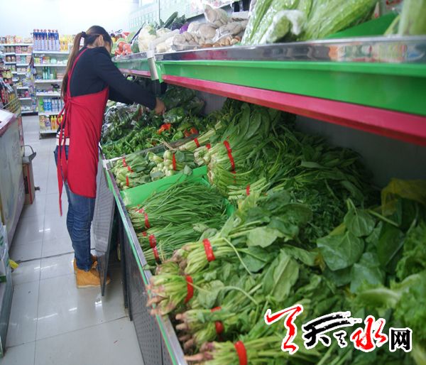 河北邯郸永年蔬菜价格