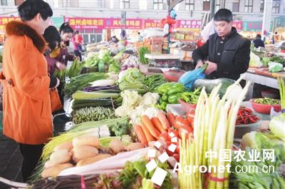 中国竹笋市场