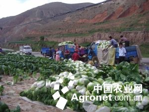 中国农药网信息网官网