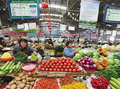 中华神剑韭菜种怎么能买到
