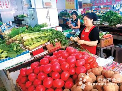 香芋多少钱一斤2017