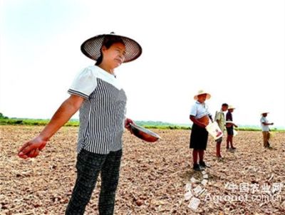 中国化肥网