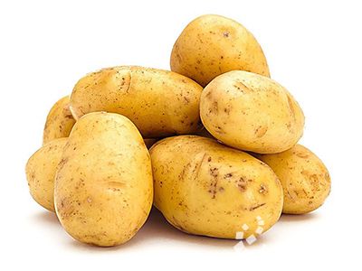丽薯2号土豆批发市场