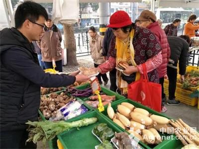 北京新发地大白菜价格