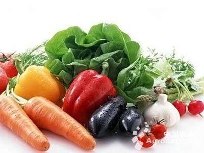 罗莎绿生菜种植方法