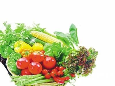 西天谷苋菜种植技术