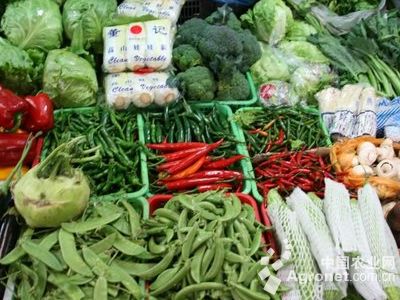 泰安绿珍蔬菜批发市场