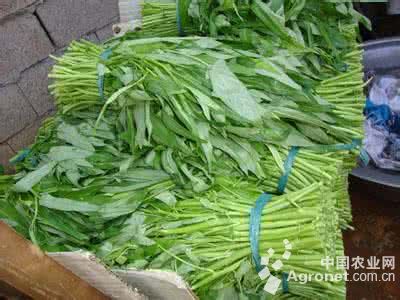 树花菜价格多少钱一斤