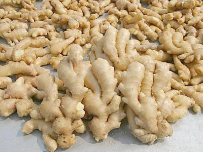 徐薯18红薯品种介绍
