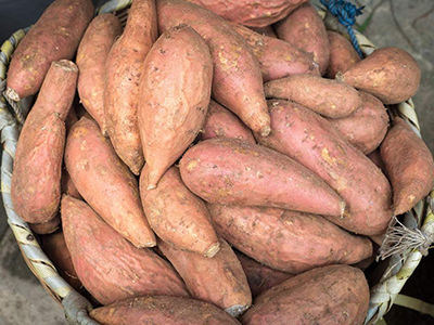 泰国扁豆市场价格