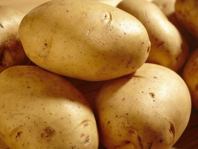 红土豆施肥技术