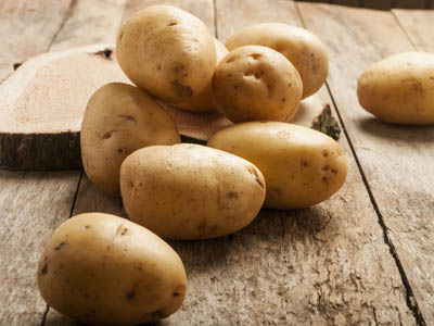 民薯2号土豆储藏通风设备价格