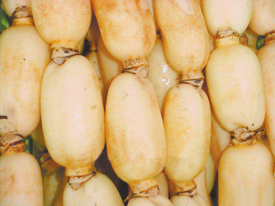 烟薯25红薯亩产多少斤