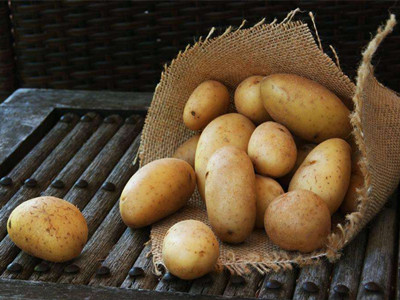 马铃薯施肥