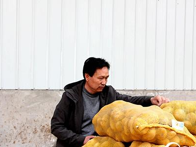 黑豆苗的家庭种植方法