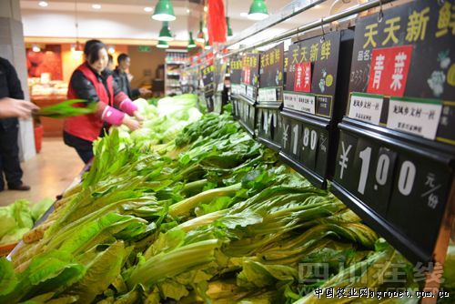 玻璃生菜市场多少钱1斤