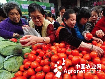 西红柿零售价多少钱一斤